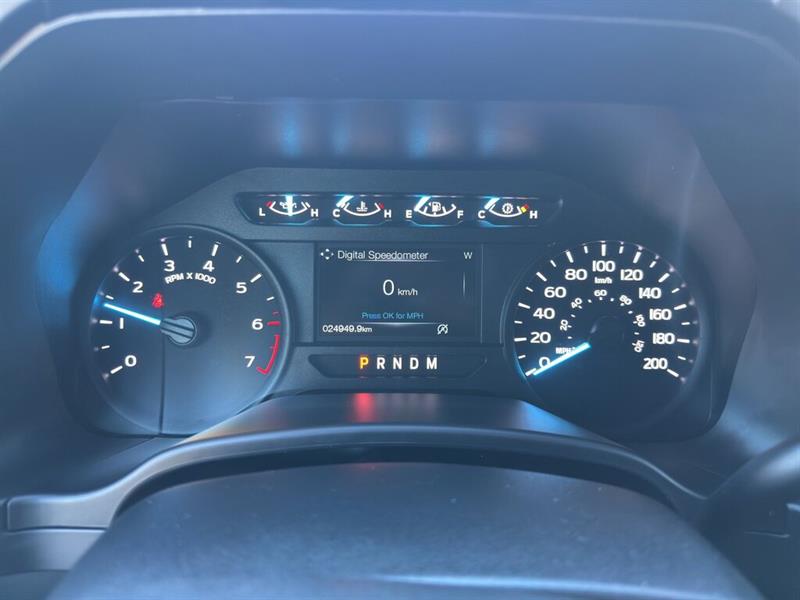 ford F-150 2020 - 12