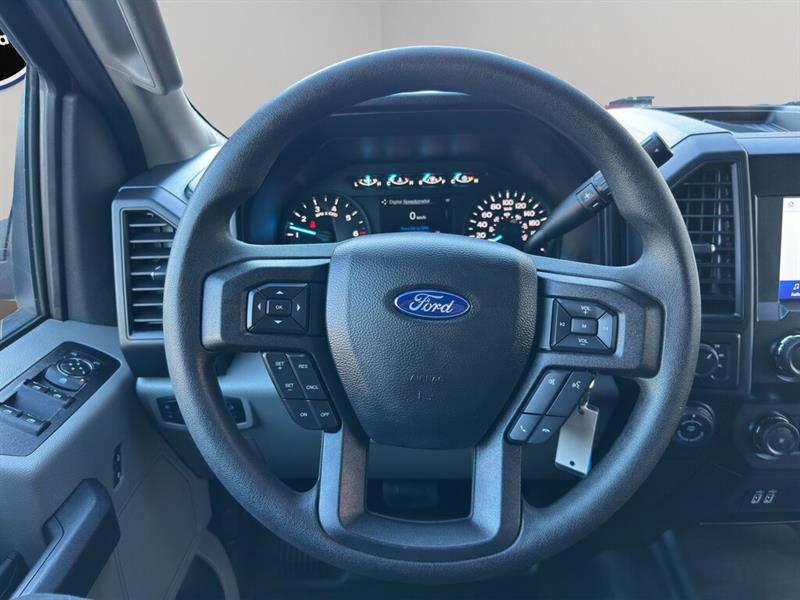 ford F-150 2020 - 14