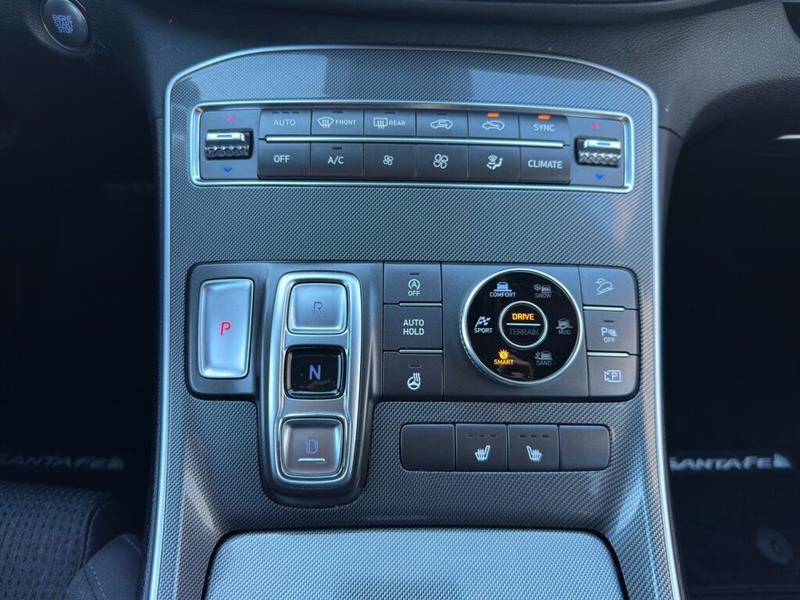 hyundai Santa Fe 2021 - 19