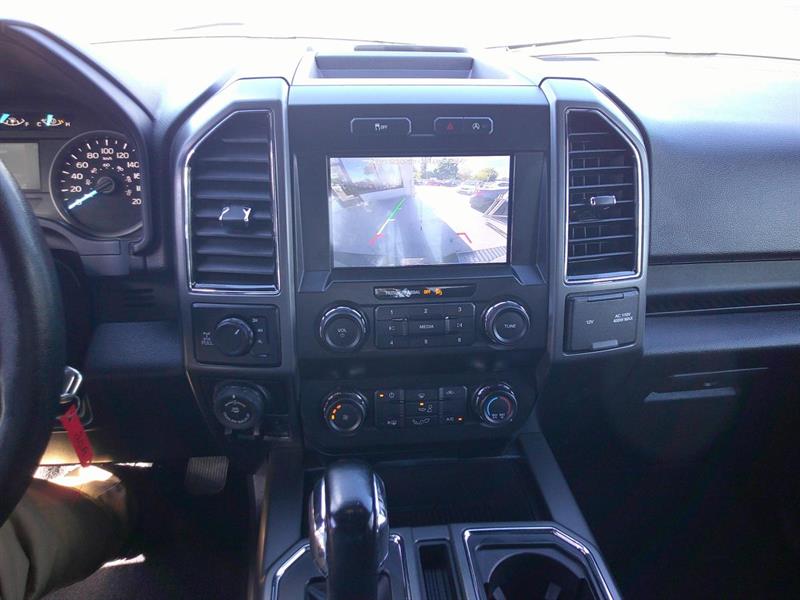 ford F-150 2019 - 13