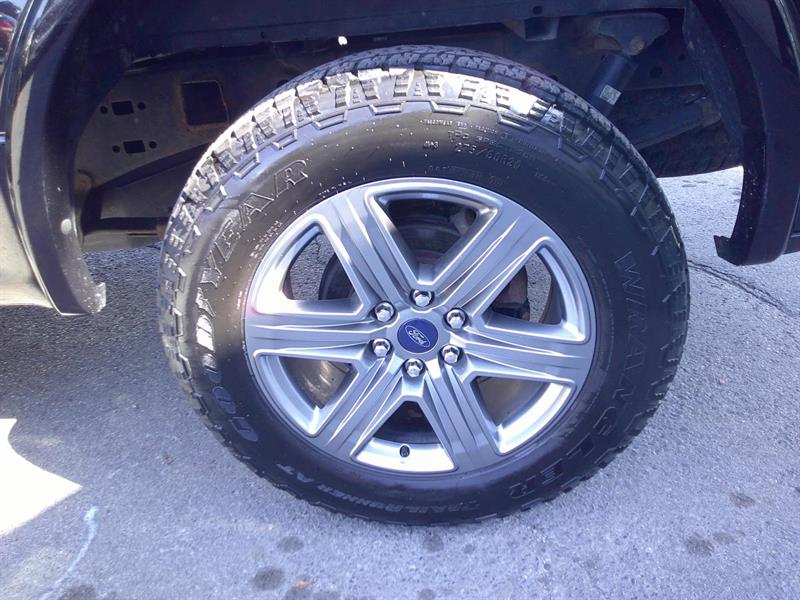 ford F-150 2019 - 15