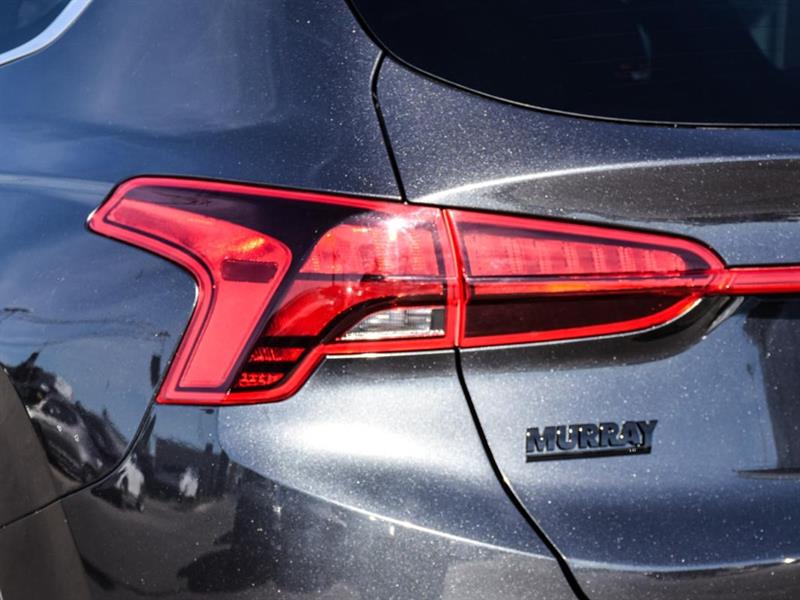 hyundai Santa Fe 2021 - 8