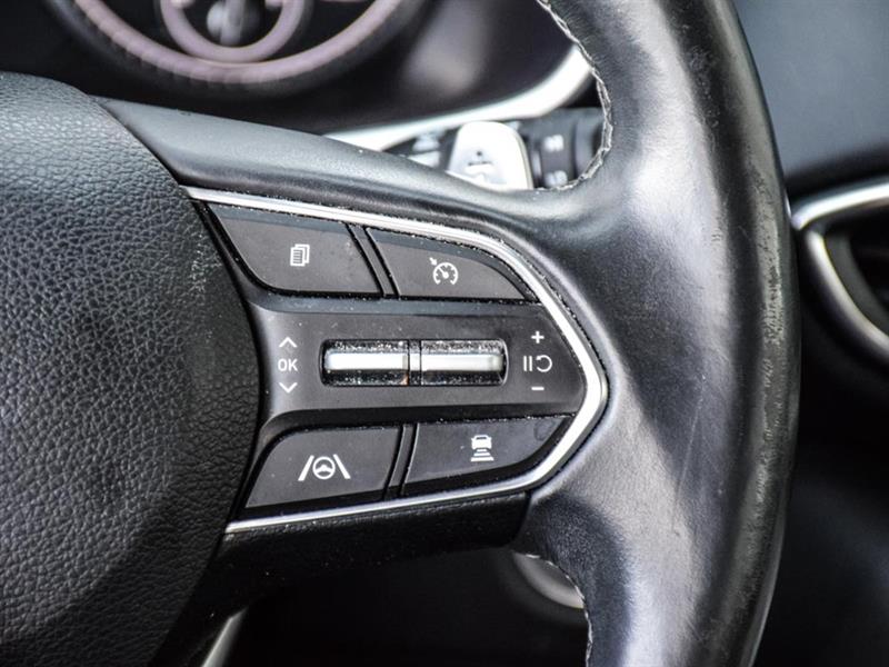 hyundai Santa Fe 2021 - 19