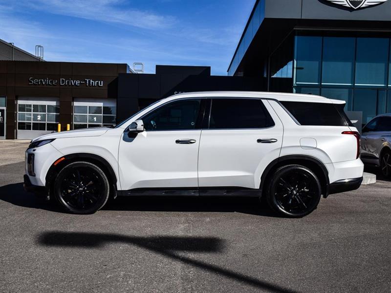 hyundai Palisade 2023 - 4