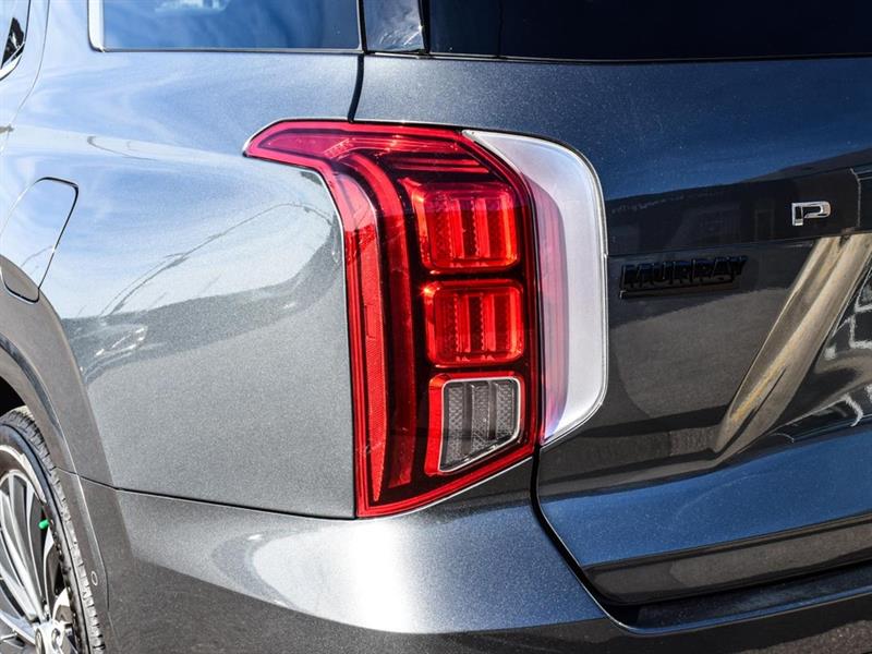 hyundai Palisade 2023 - 8