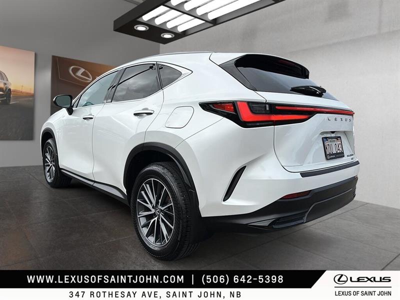 lexus NX 2024 - 4