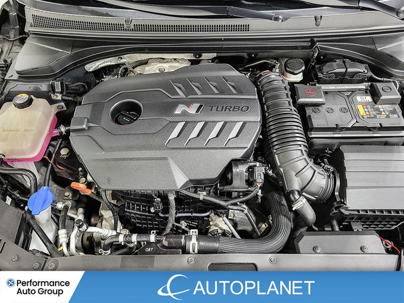 hyundai Veloster N 2022 - 15