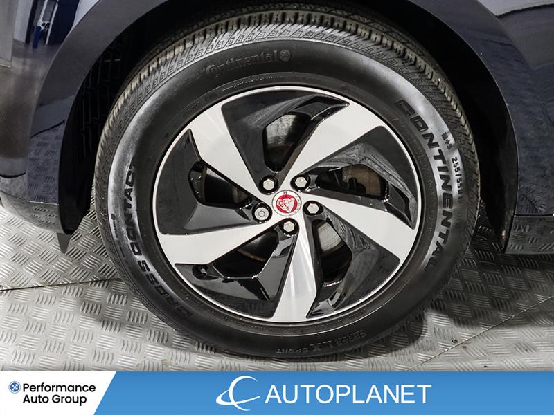 jaguar F-PACE 2022 - 11