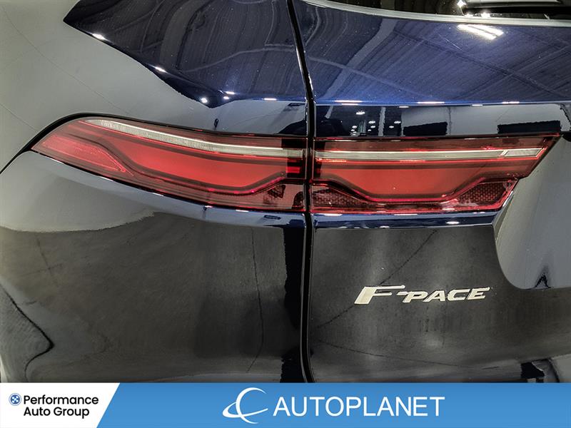 jaguar F-PACE 2022 - 12