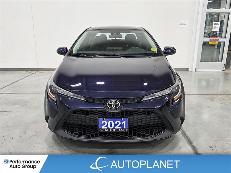 toyota Corolla 2021 - 2