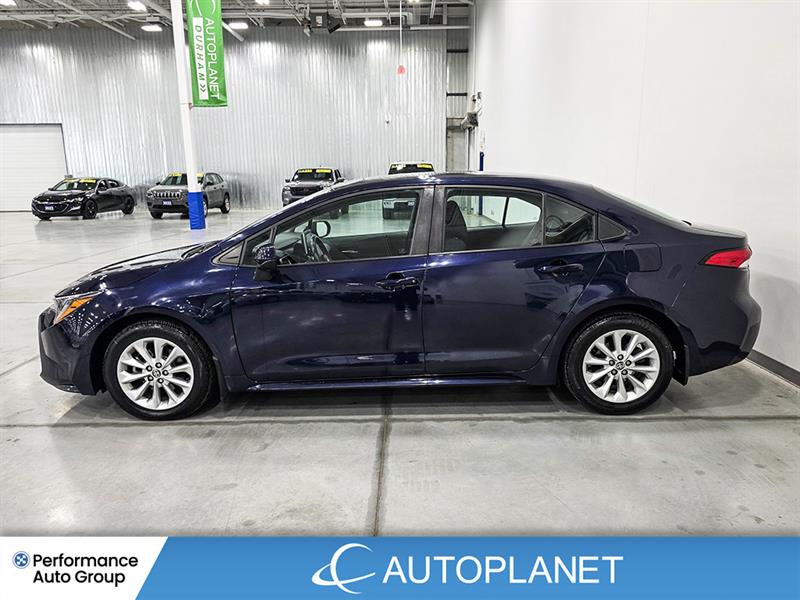 toyota Corolla 2021 - 4