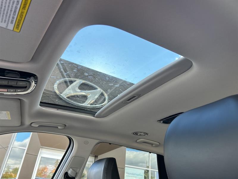 hyundai Palisade 2023 - 14