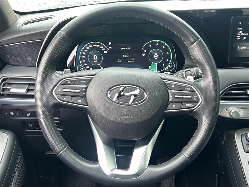 hyundai Palisade 2022 - 17