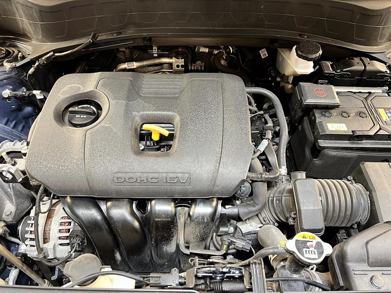 kia Seltos 2024 - 12