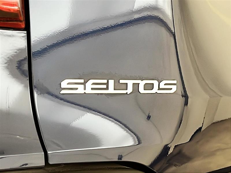 kia Seltos 2024 - 25