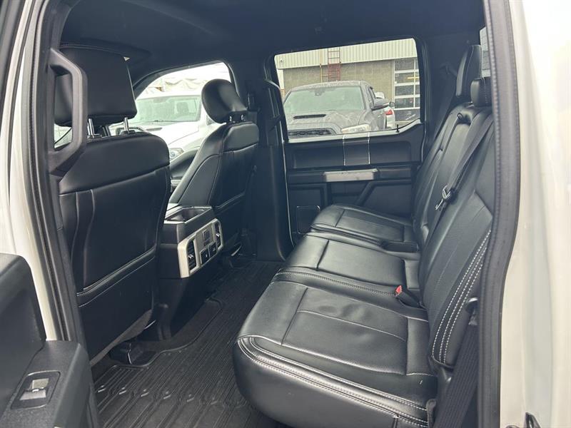 ford F-150 2019 - 14