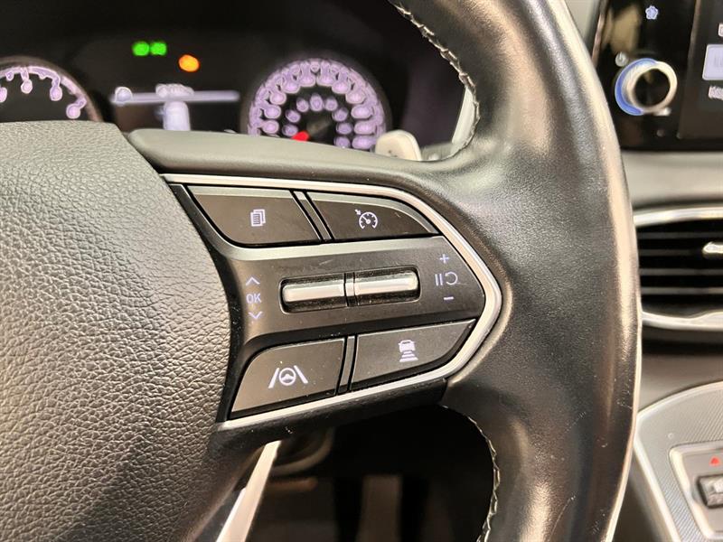 hyundai Santa Fe 2022 - 25