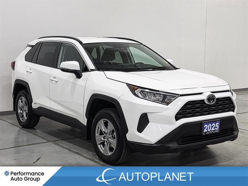 toyota RAV4 2025 - 4