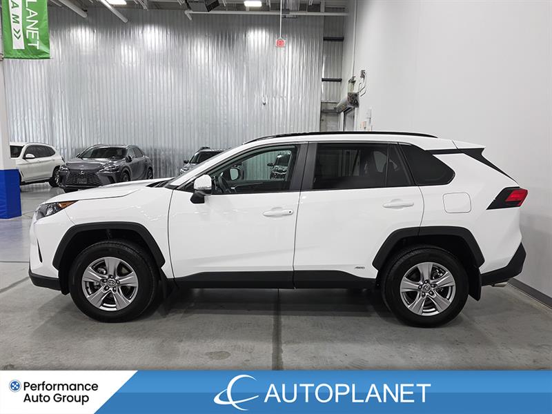 toyota RAV4 2025 - 5