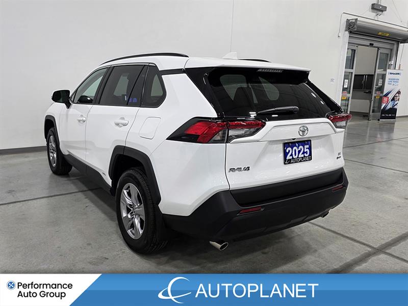 toyota RAV4 2025 - 6