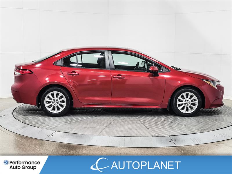 toyota Corolla 2021 - 5