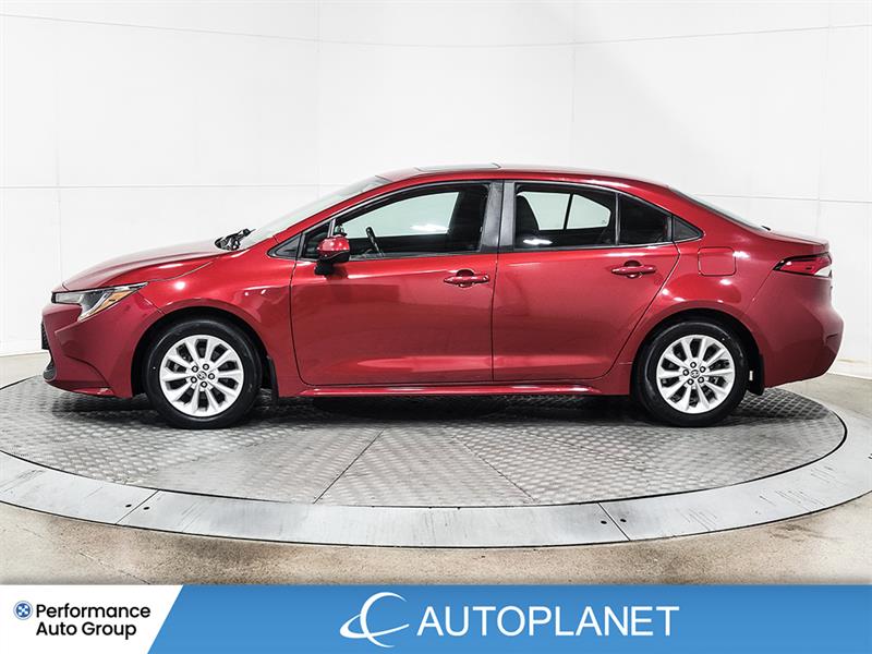 toyota Corolla 2021 - 10