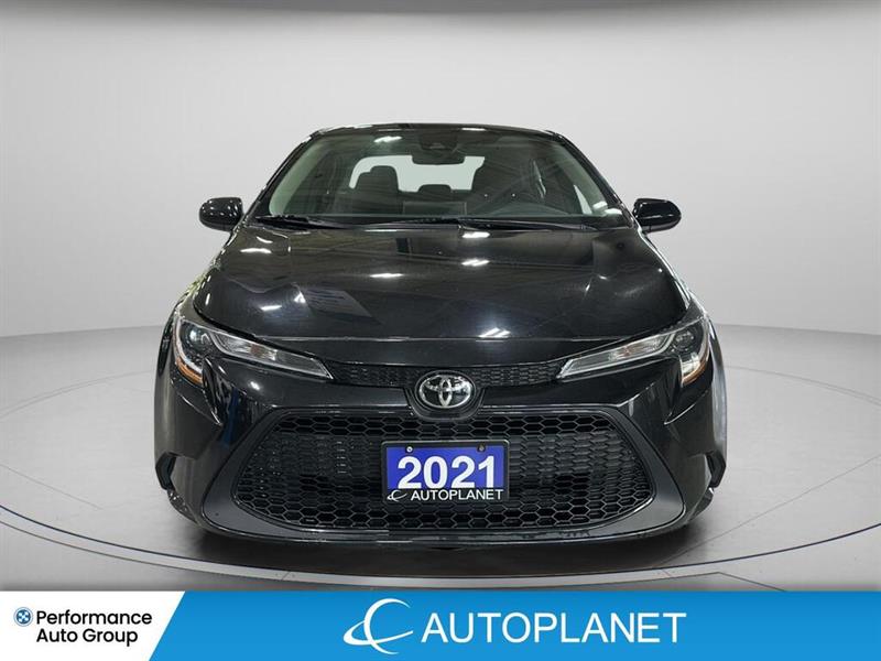 toyota Corolla 2021 - 2