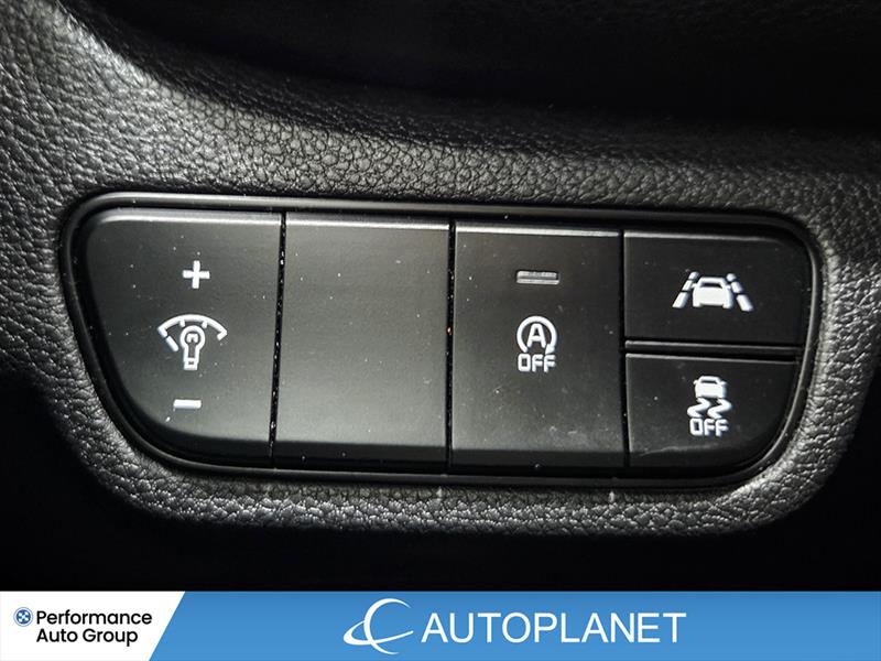 kia Seltos 2022 - 17