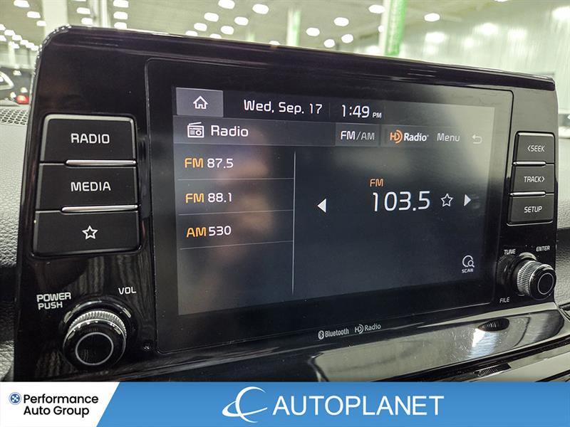 kia Seltos 2022 - 22