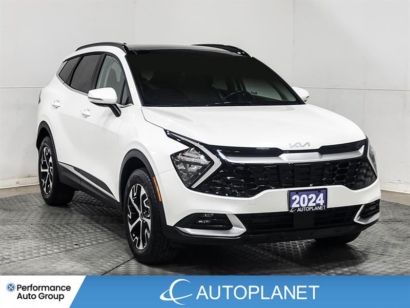 kia Sportage 2024 - 3