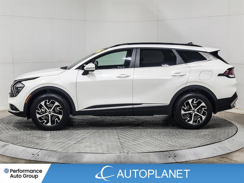 kia Sportage 2024 - 4