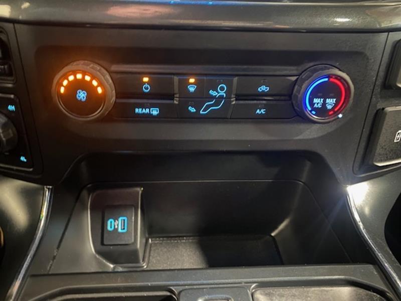 ford F-150 2021 - 14