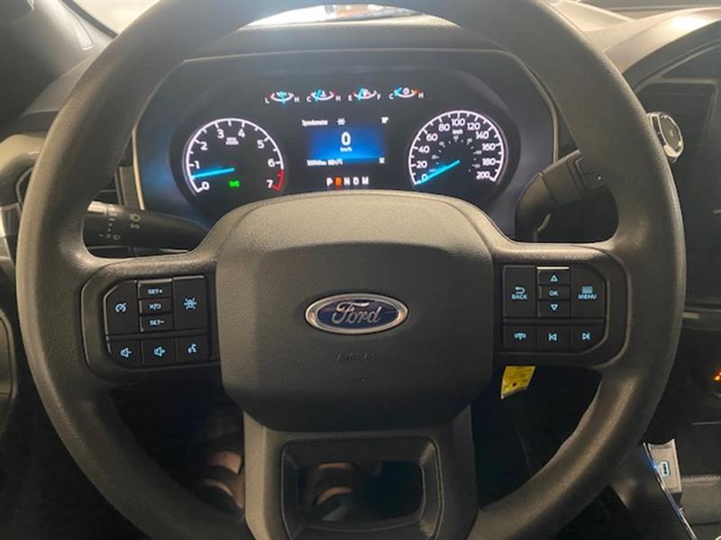 ford F-150 2021 - 17