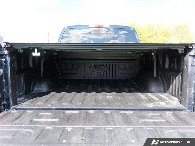 ford F-150 2021 - 14