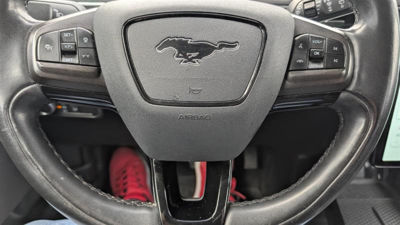 ford Mustang Mach-E 2021 - 14