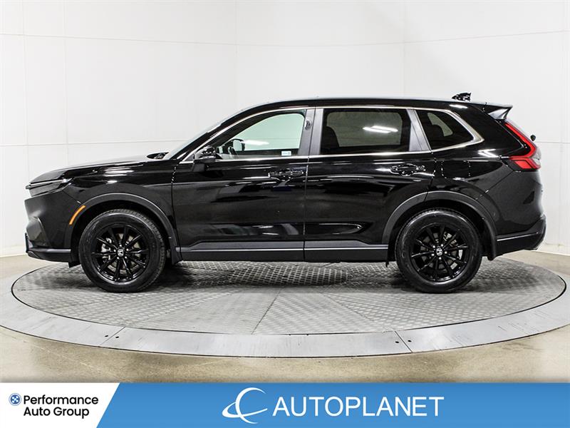 honda CR-V Hybrid 2025 - 4