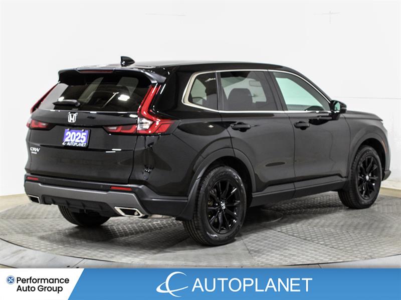 honda CR-V Hybrid 2025 - 8