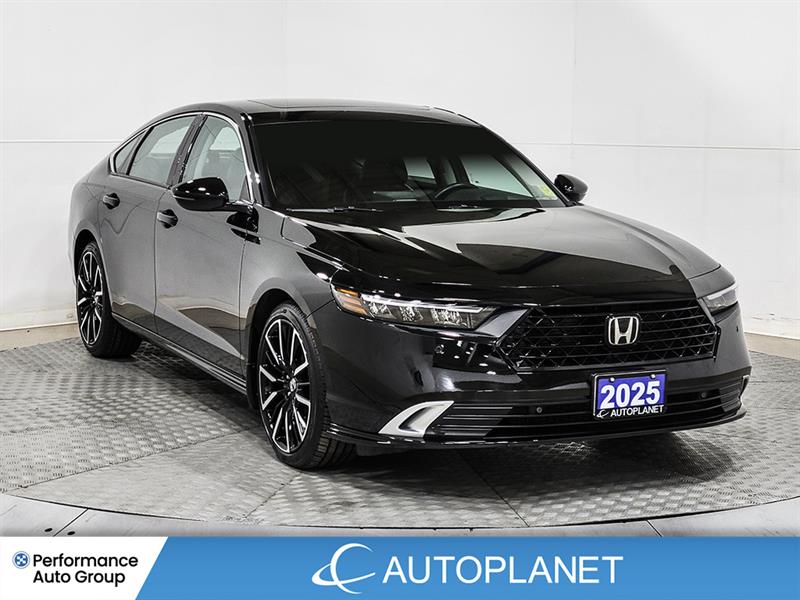 honda Accord Hybrid 2025 - 3