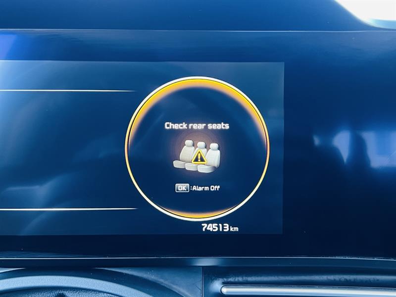 kia Carnival 2022 - 24