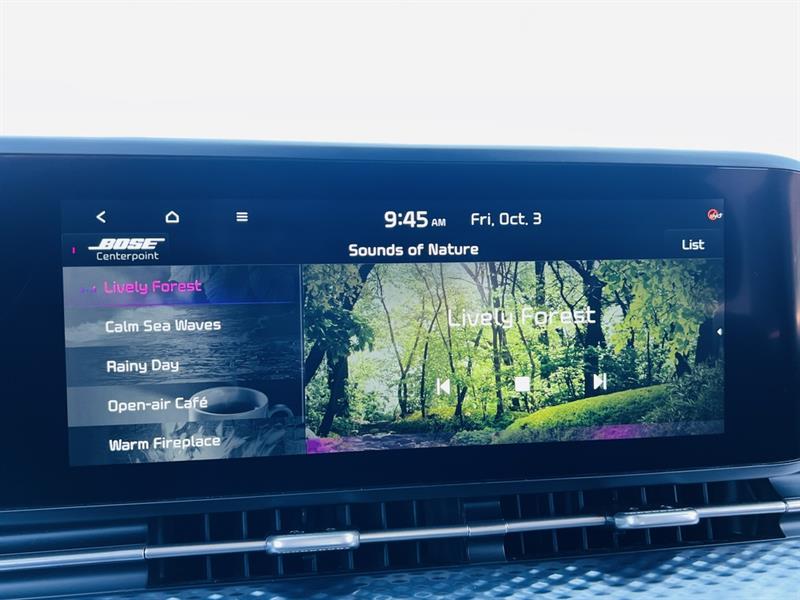 kia Carnival 2022 - 32