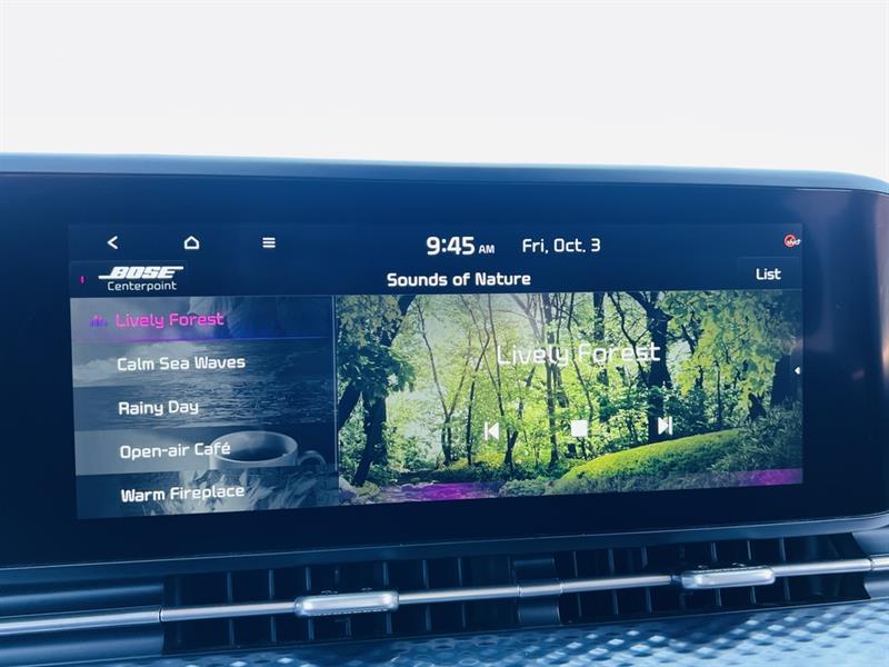 kia Carnival 2022 - 33