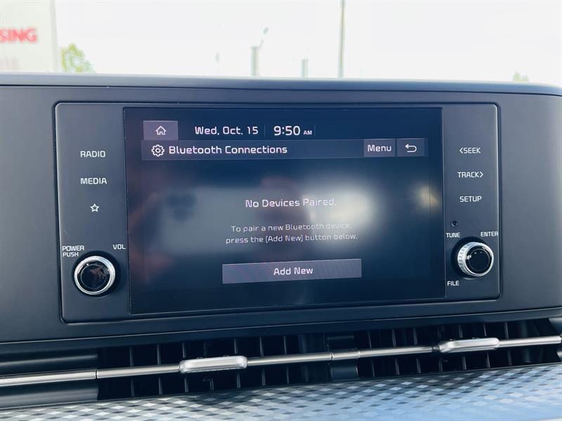 kia Carnival 2022 - 32