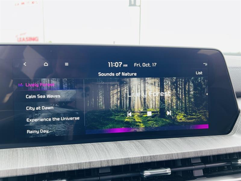 kia Telluride 2024 - 36