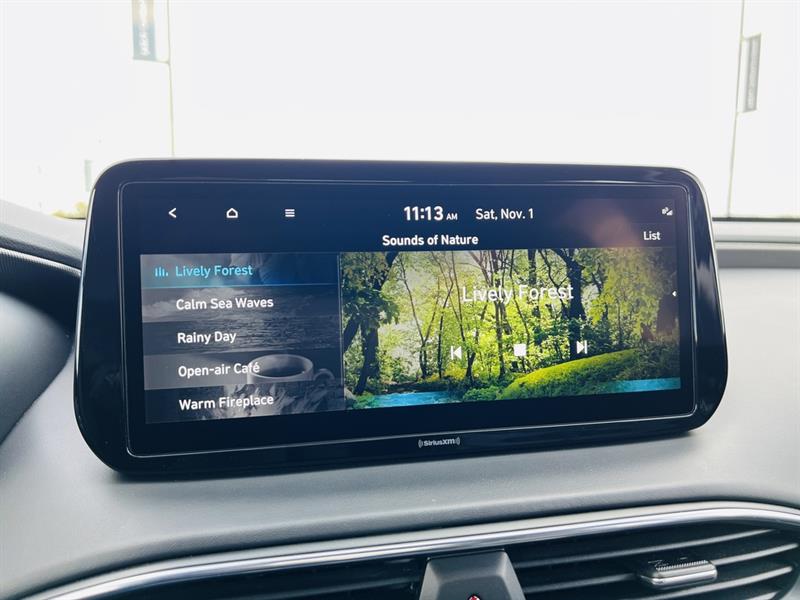 hyundai Santa Fe Plug-In Hybrid 2023 - 36