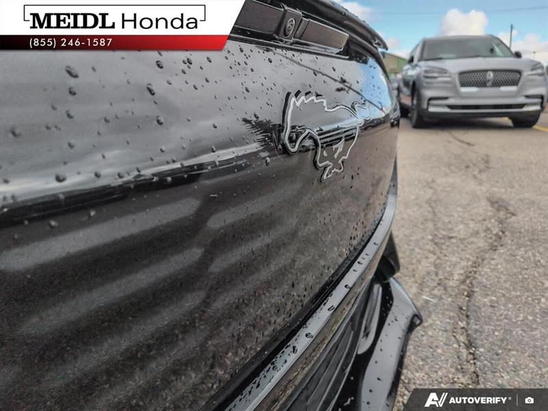 ford Mustang Mach-E 2022 - 9