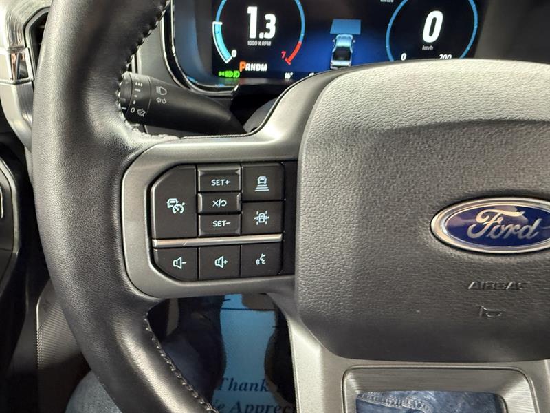 ford F-150 2021 - 12