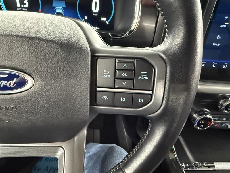 ford F-150 2021 - 13