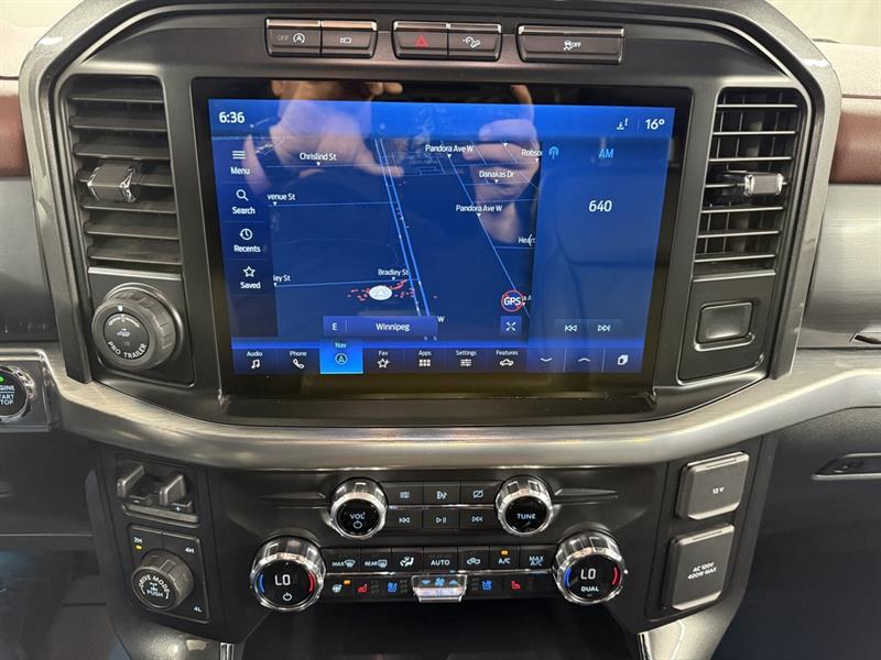 ford F-150 2021 - 15