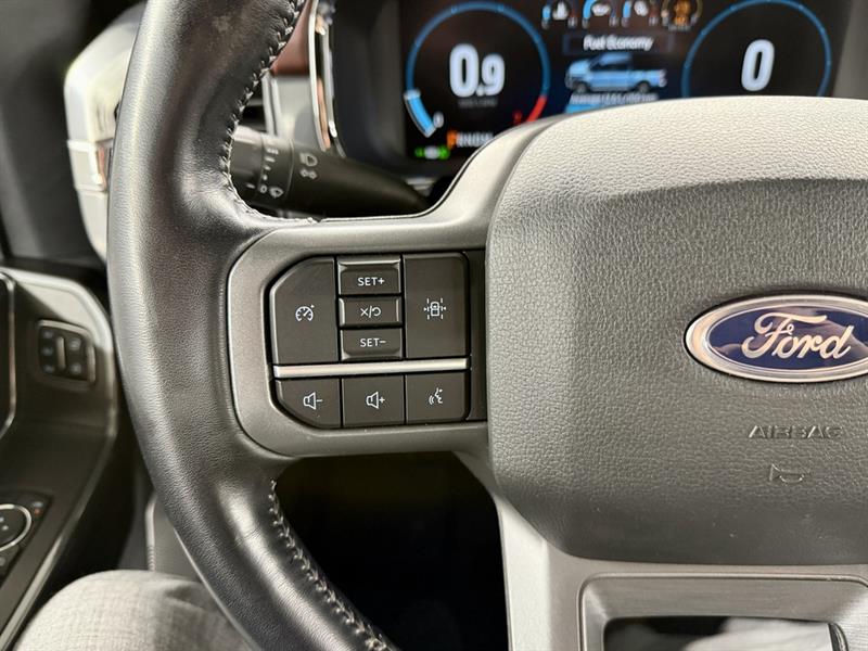 ford F-150 2021 - 14