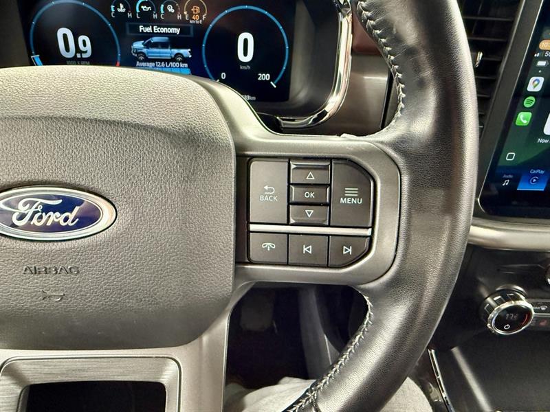 ford F-150 2021 - 15